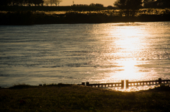 光揺蕩う利根川の夕景
