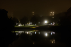 fog night