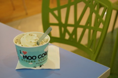 今日もＭＯＯ　ＣＯＷ