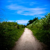 遊歩道