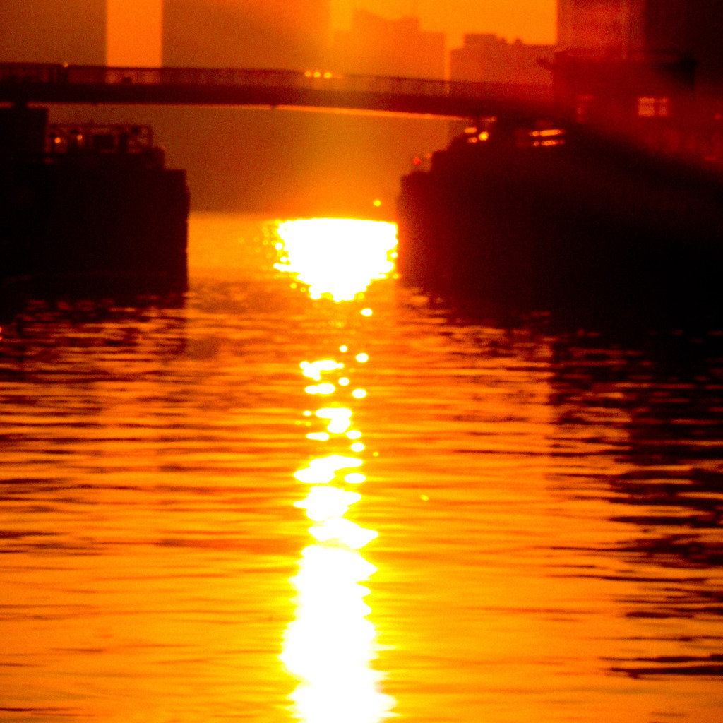 夕日