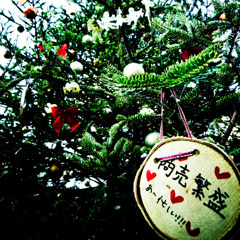 クリスマスツリー