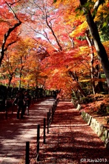 長岡京 光明寺