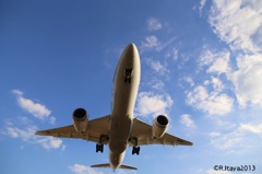 伊丹空港