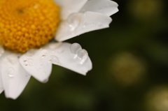 水滴