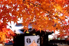 長岡京 光明寺