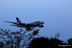 成田空港 シンガポール航空A380