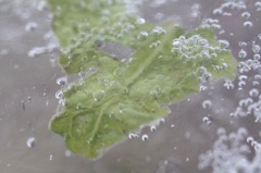 氷