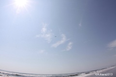 九十九里浜