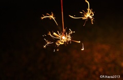 秋の夜長に夏の余韻