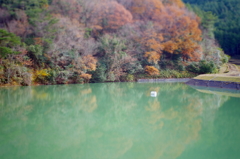 紅葉と池のコントラスト