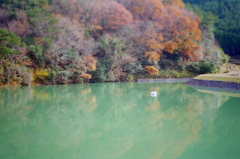 紅葉と池のコントラスト