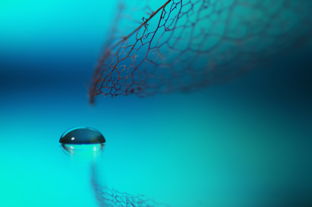 Drops of life