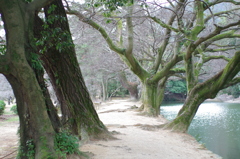 栗林公園