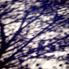 Shadow