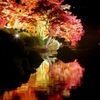 Autumn colors