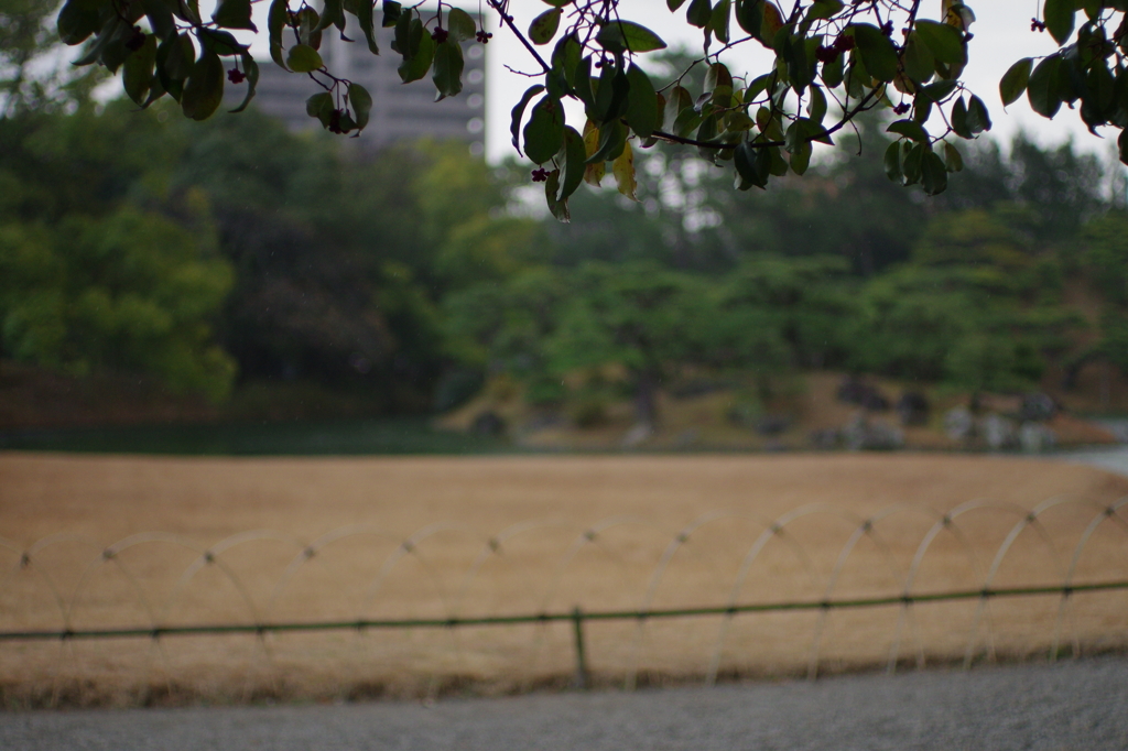 栗林公園