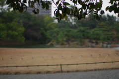 栗林公園