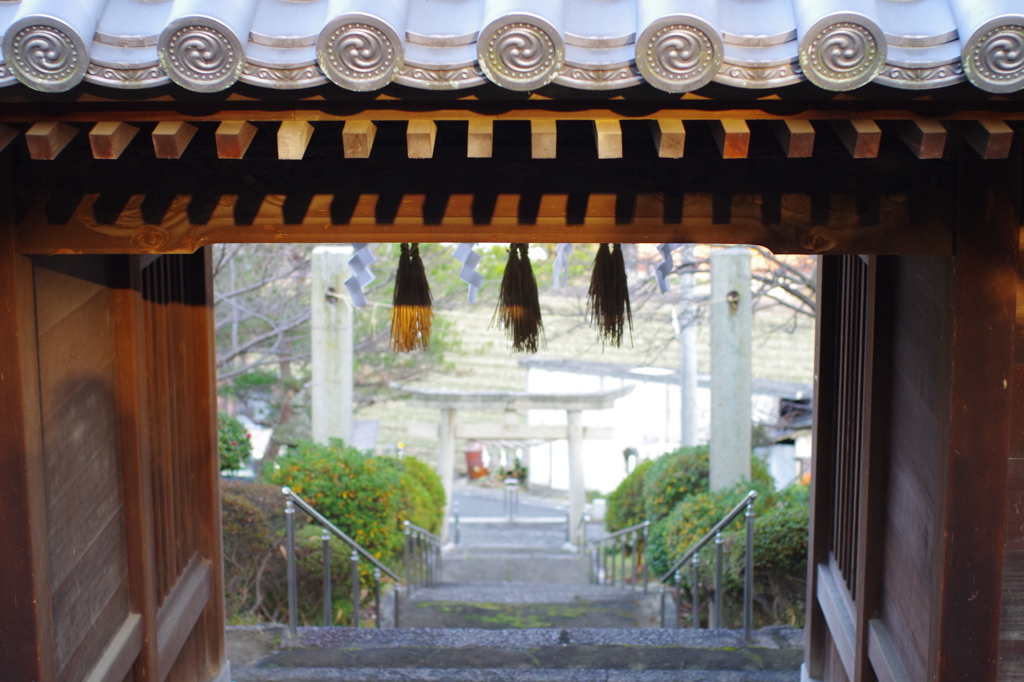 階段上からの景色
