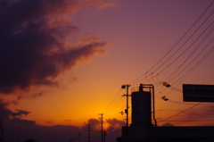 夕日