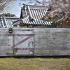 存在感