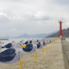 女木島　-カモメ-