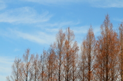 さきたま古墳 a