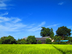 秋晴れの朝