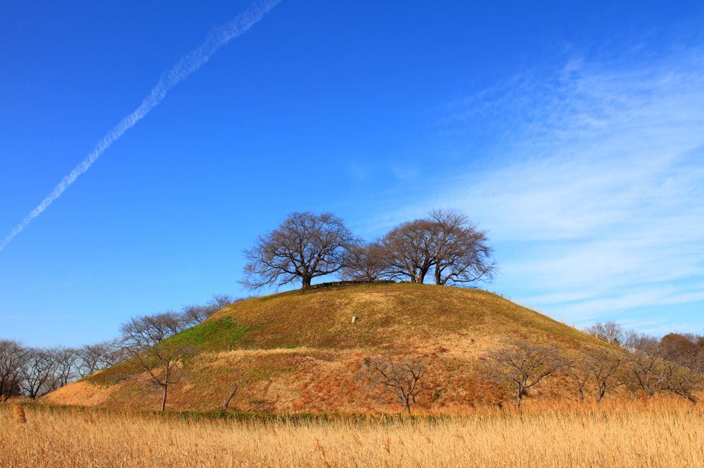 さきたま古墳　ｄ