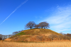 さきたま古墳 d