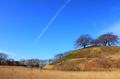 さきたま古墳 b