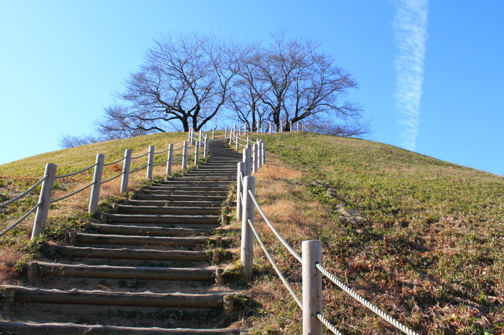 さきたま古墳　ｃ