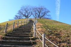 さきたま古墳 c