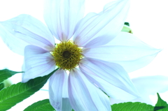 秋の終わりに 1