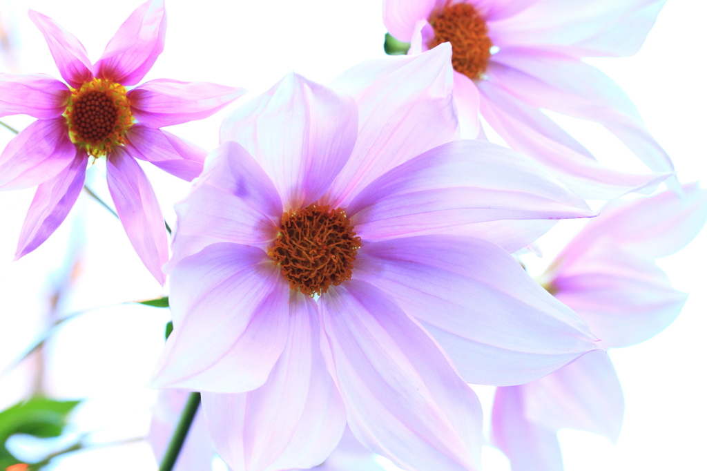 秋の終わりに　2