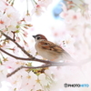 春の陽気に誘われて