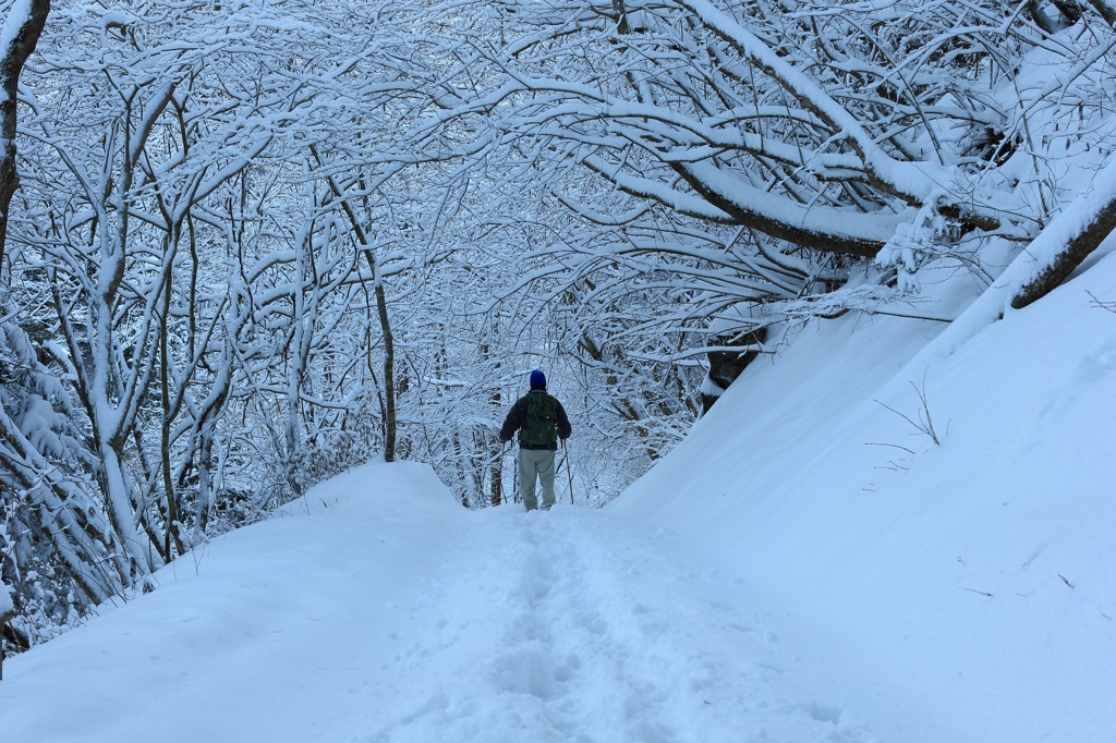 雪と戯れる