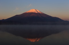 紅茶富士