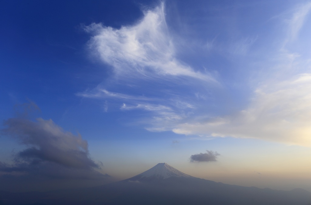 マンタ舞う空