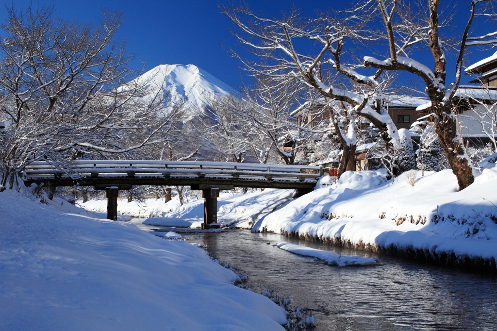 雪の降った　翌朝に、、、。