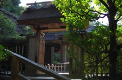 京都散策