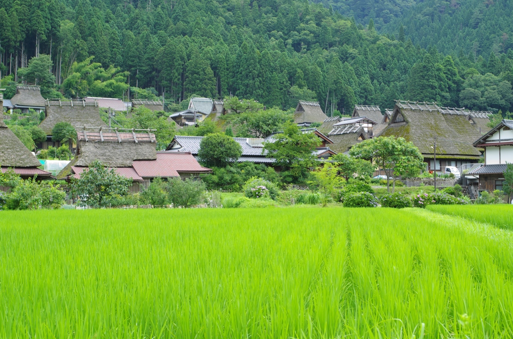 かやぶきの里　6