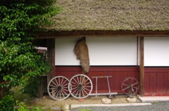 かやぶきの里　2