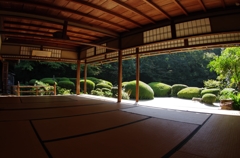 京都散策