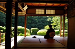 京都散策