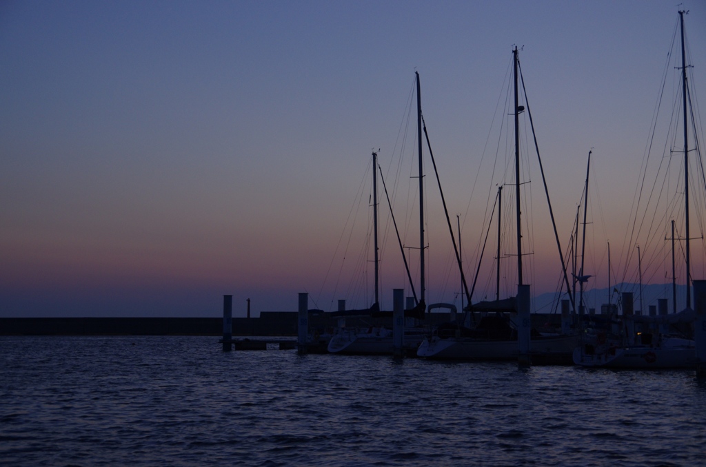 IMGP0927