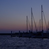 IMGP0927