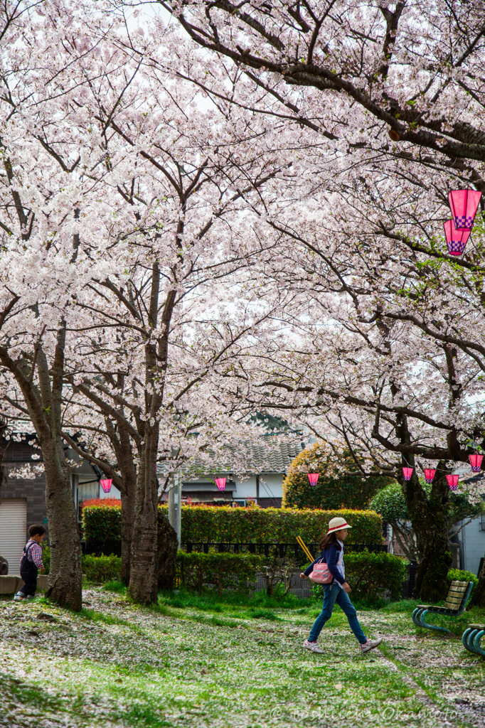 もう知らないから！！