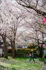 もう知らないから！！