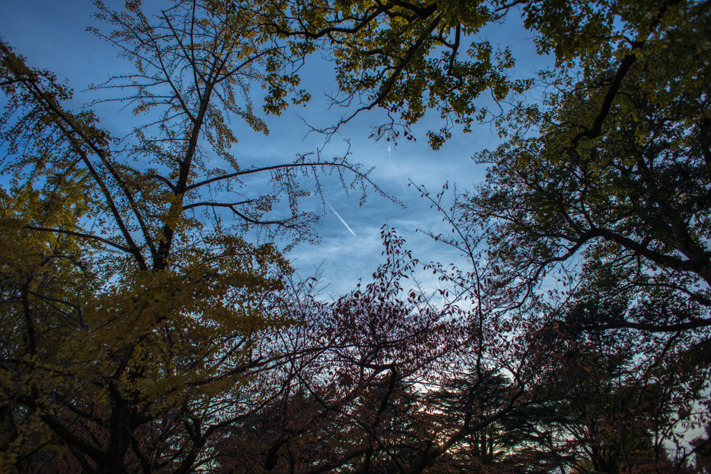 ひこうき雲